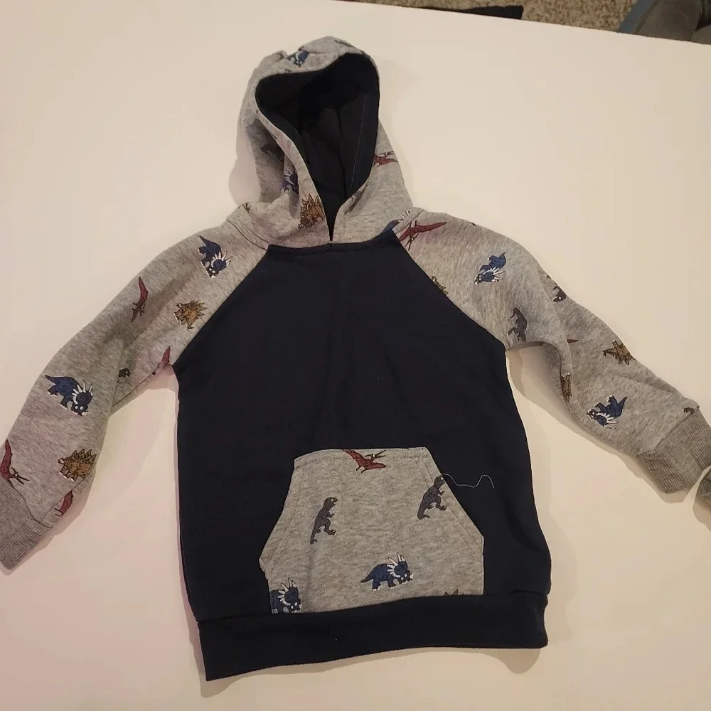Free Plant Baby Boy 2 Piece Dinosaur Theme Hoodie and Jogger Set in Size 24M